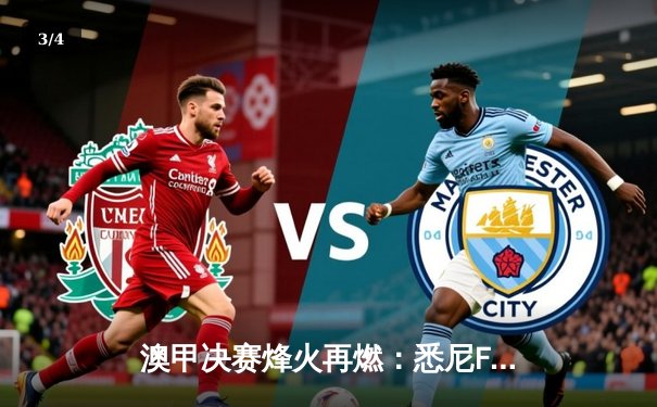 澳甲决赛烽火再燃：悉尼FC逆转夺冠创历史，央视直播见证三冠王诞生 - 3